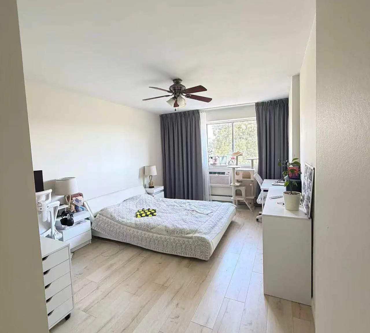 1 bed, 820 sqft, $2,000 — Photo 3