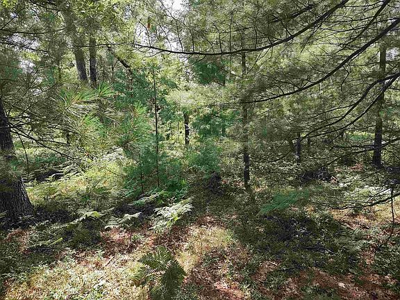 3rd image of LOT 186 Winterset Dr Lot 186