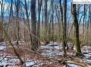 135 Greenbriar Rd, Banner Elk, NC 28604