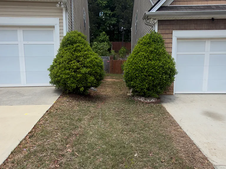 235 Cool Weather Dr — Photo 15