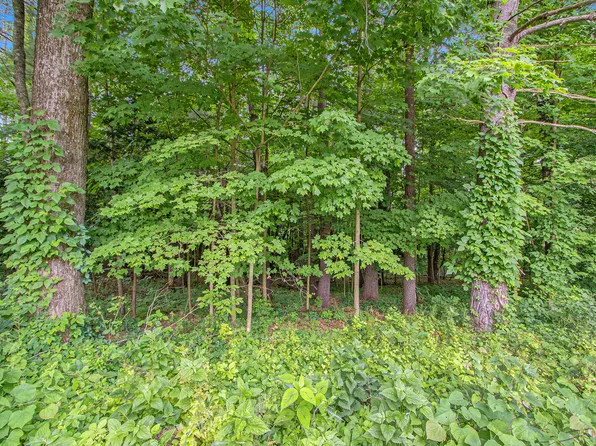 171 Thomas St, Allegan, MI 49010