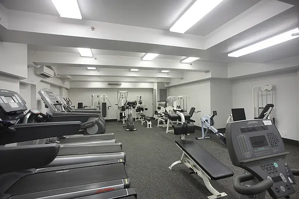 Rented by Manhattan Skyline | media 5