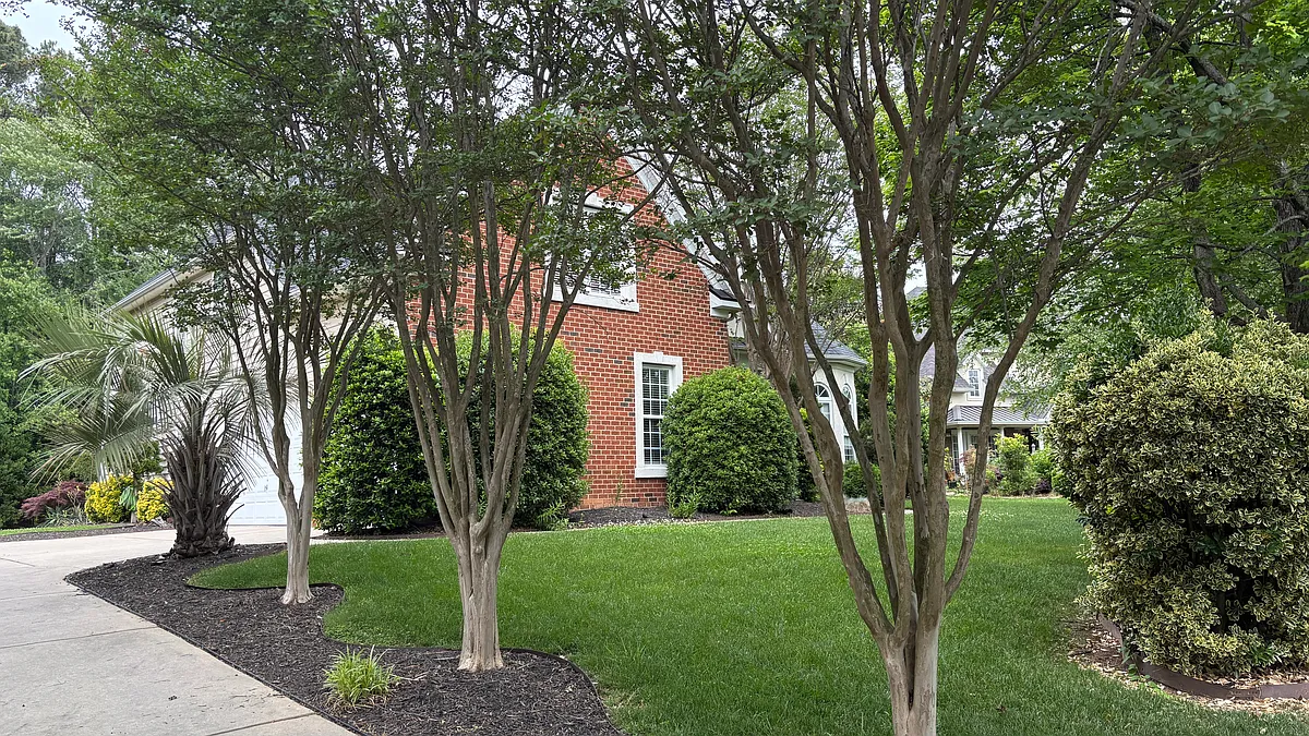 Building Photo - 9604 Royal Colony Dr