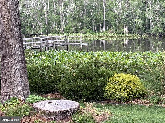 5th image of 30823 Dogwood Dr