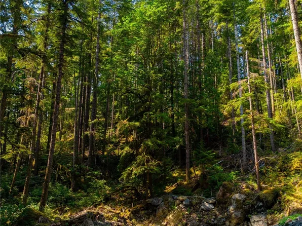 7043 Olympus Way, Deming, WA 98244