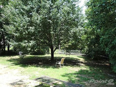 Mature Trees