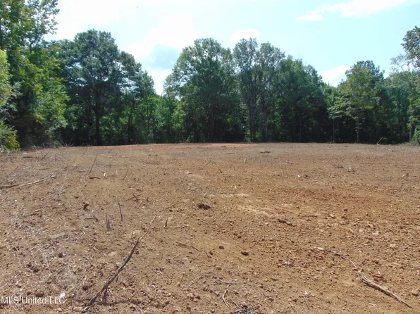 1015 Tarver Ln, Wesson, MS 39191