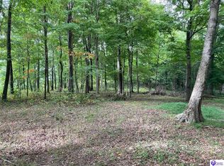 1647 Boone Hollow Rd, Battletown, KY 40104