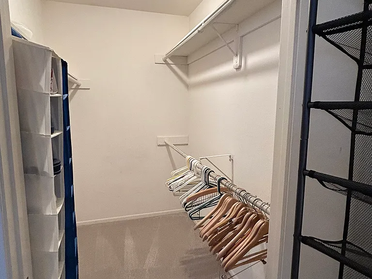 Master walk in closet