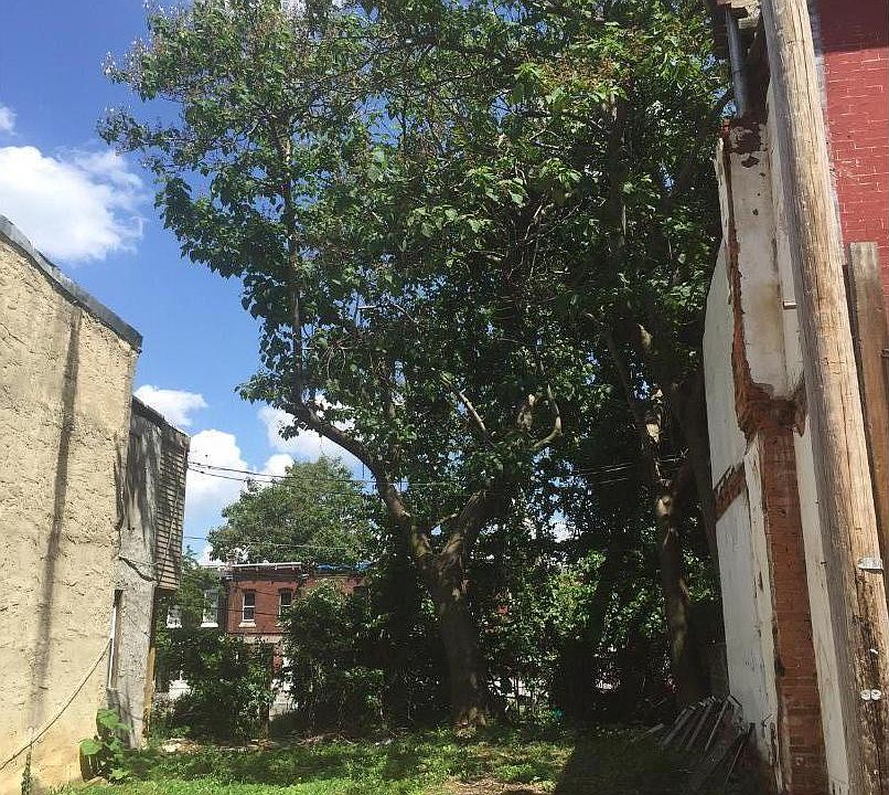 1st image of 1815 N Ringgold St
