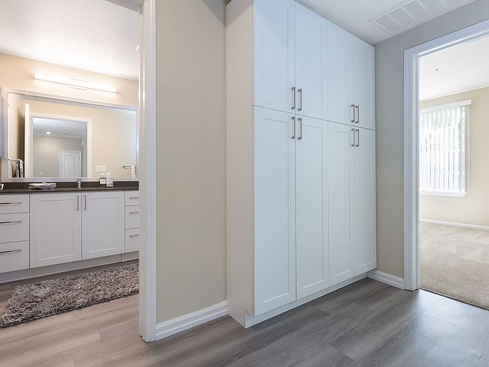 Upgraded Apartment Home Hall Storage and Bath