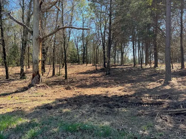 (undisclosed Address), Pottsville, AR 72858