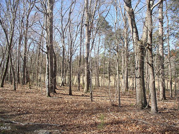 2nd image of 0 Country Lake Dr Lot 29