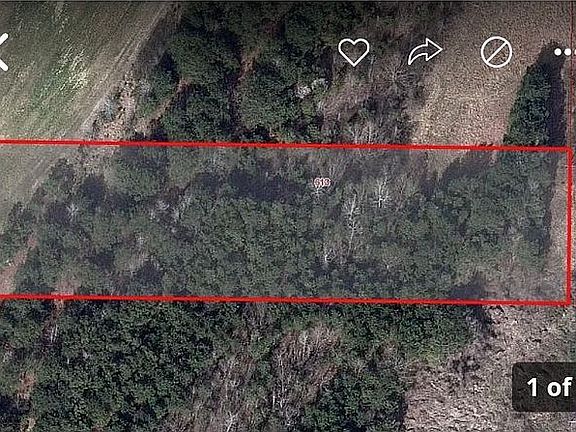 4th image of 613 Fogg Rd N