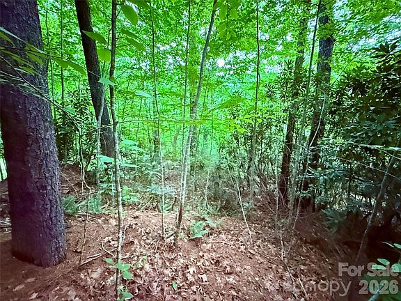 4th image of Parkway View Ln #L1