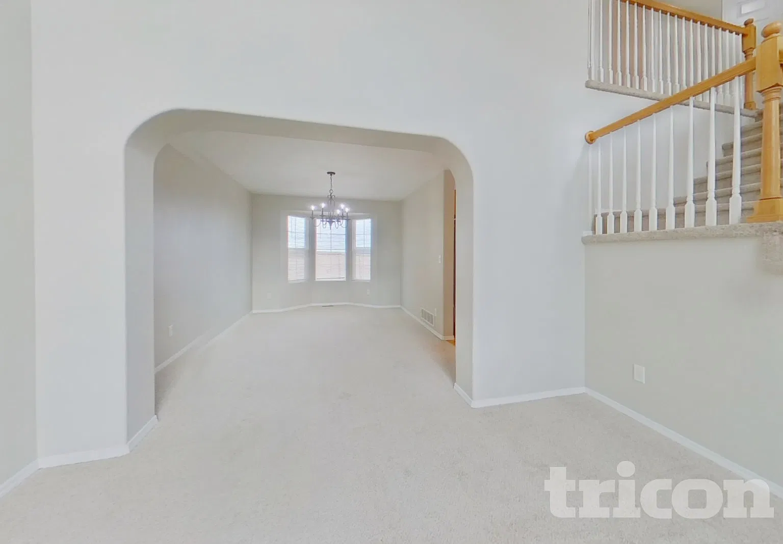 3941 Roan Drive Colorado Springs CO — Photo 4
