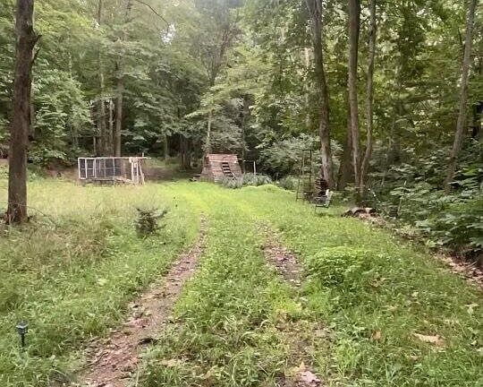 4th image of 0 Hipps Hollow Rd
