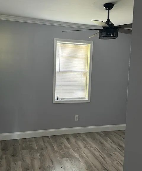 1017 Gray Rd — Photo 8