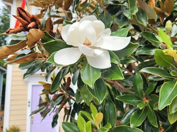 2706 Soniat St, New Orleans, LA 70115