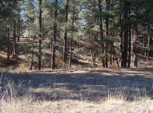 1260 N 26th Cir, Show Low, AZ 85901