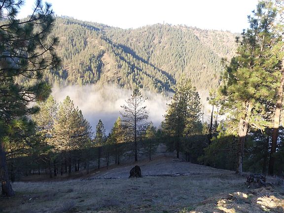 5th image of 1404 Carrot Ridge Rd
