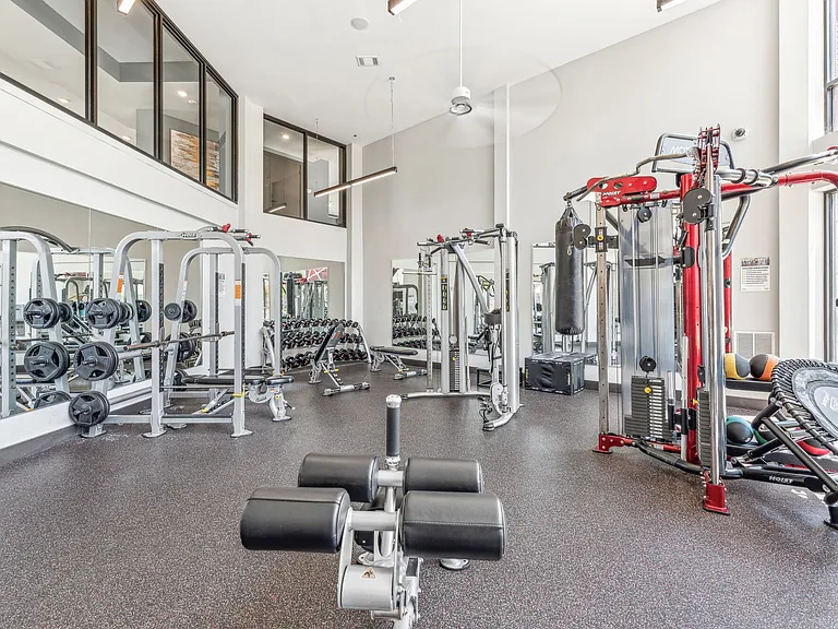 Strength Training Machines and Free Weights