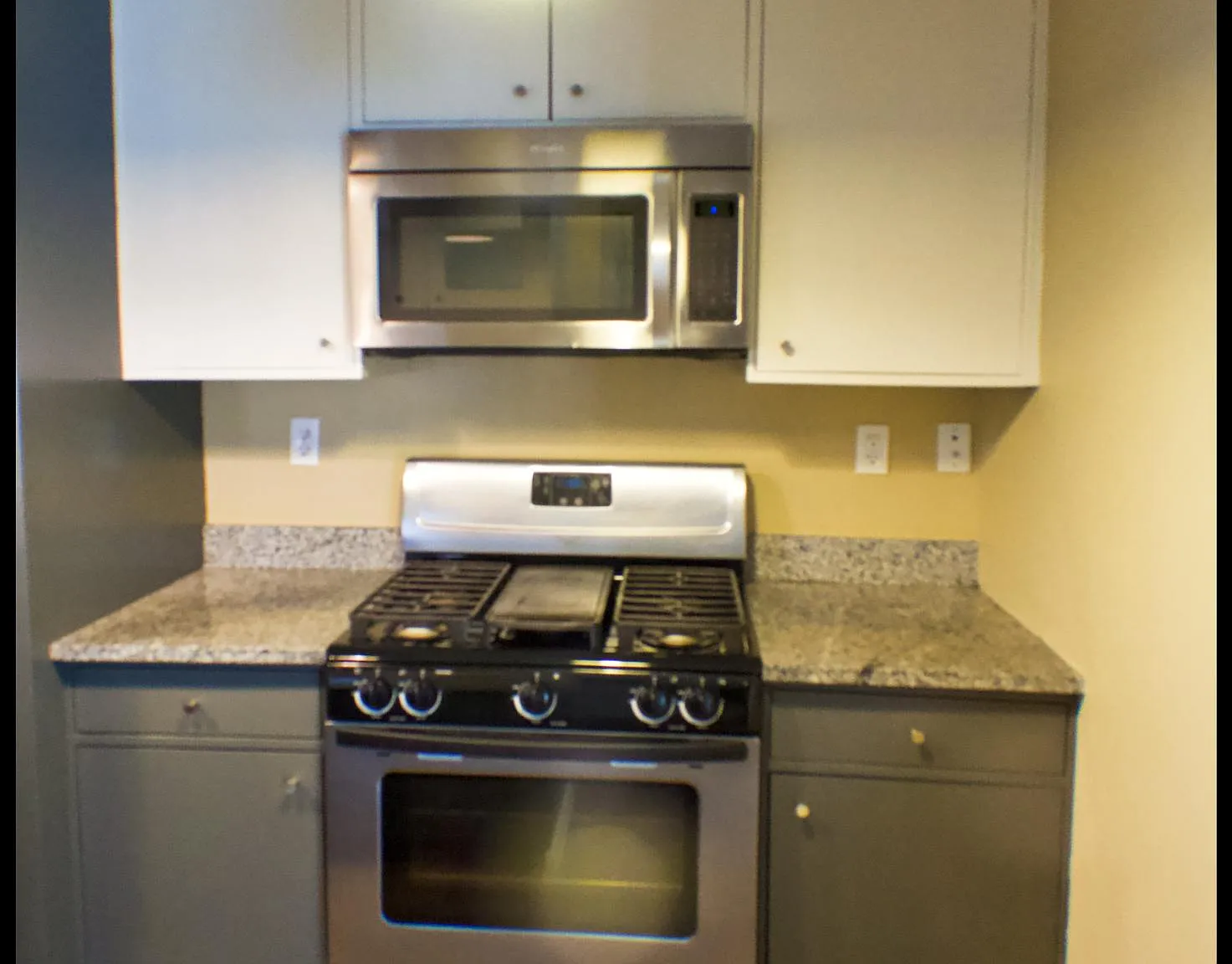 3 bed, 1337 sqft, $1,800 — Photo 4