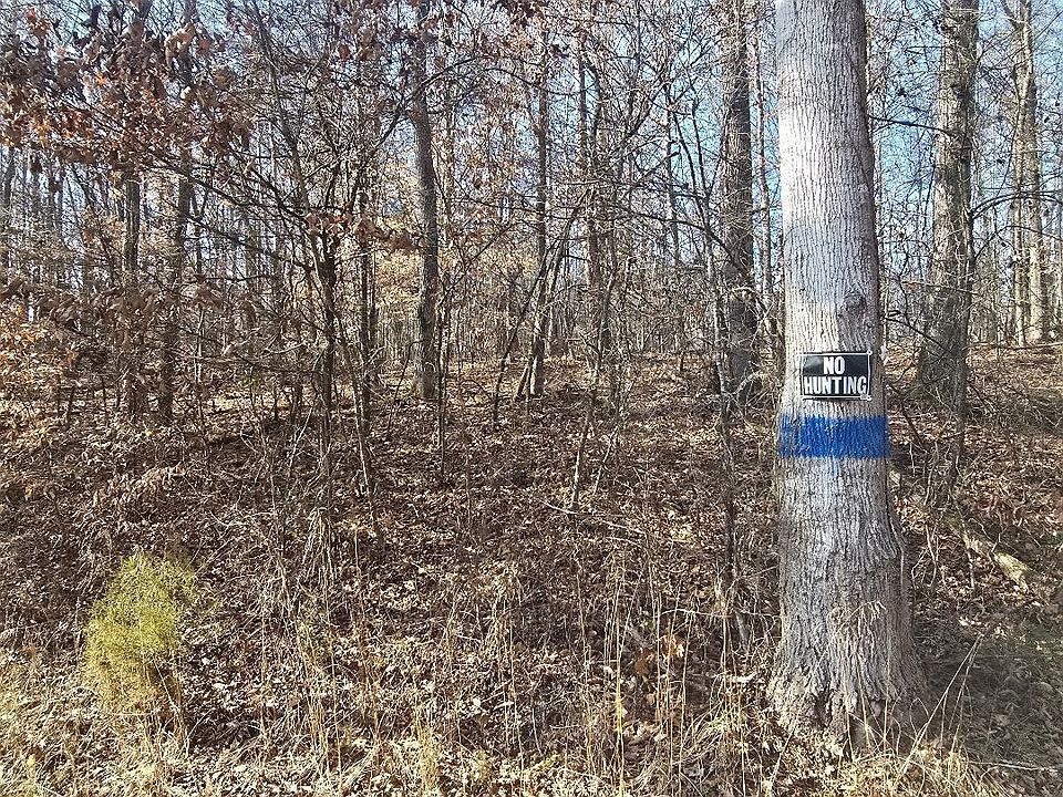 2nd image of 16 River Rd Lot 16
