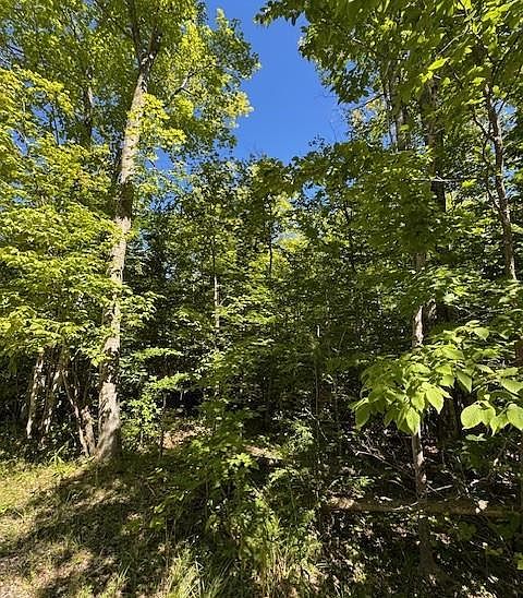 1st image of Fawn Ln