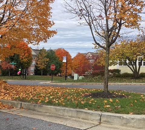 Community Common Grounds