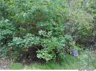 2 Robinson Cove Rd, Candler, NC 28715