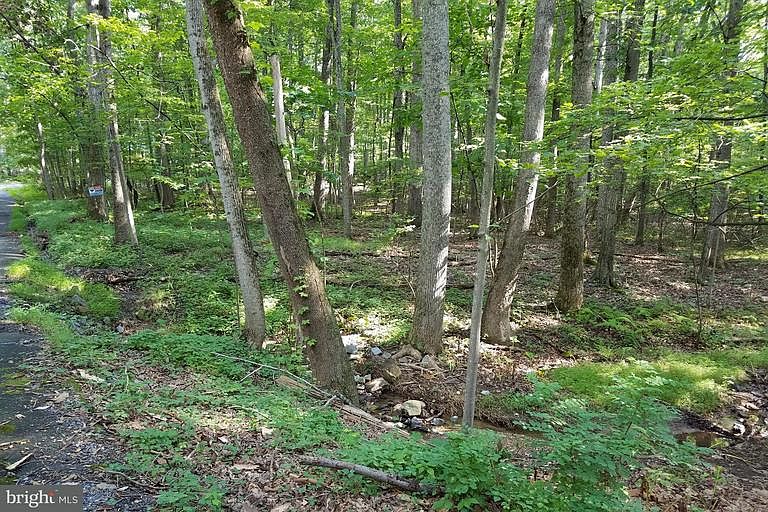 1st image of 353 White Mule Ln