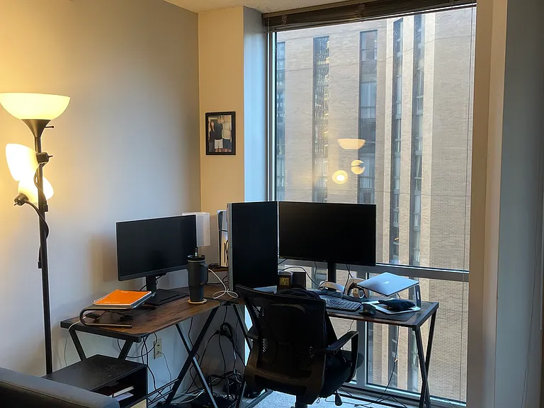 222 N Columbus Dr #2907 — Photo 9