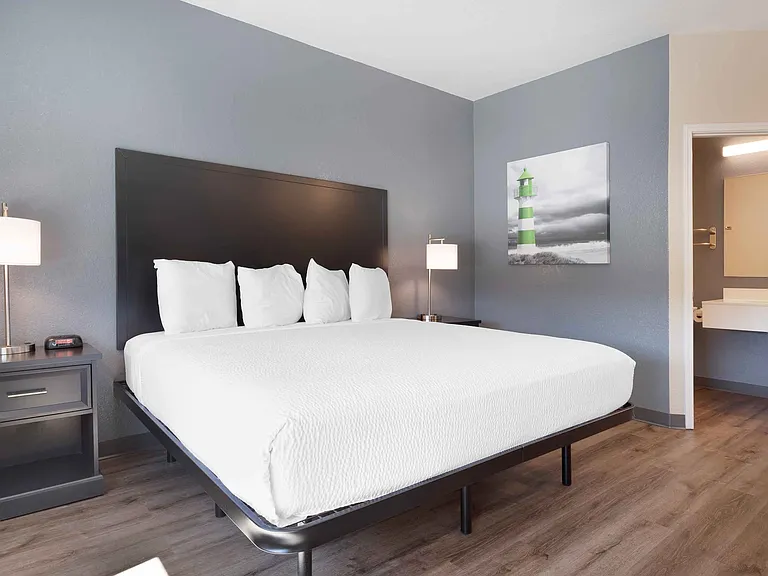 Studio Suite - 1 King Bed