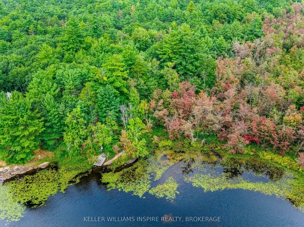 Consecon St Lot 22, Prince Edward County, ON K0K 3L0