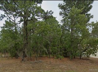 1485 W Lamplighter St, Citrus Springs, FL 34434