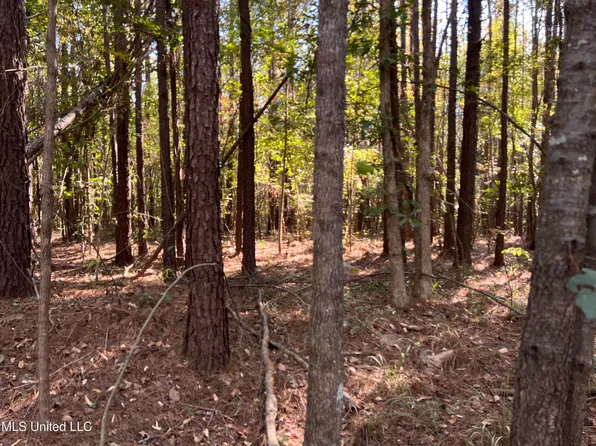 0 Mississippi Hwy #18, Brandon, MS 39042