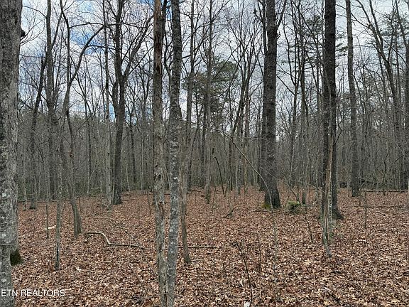 4th image of Street Place Loop