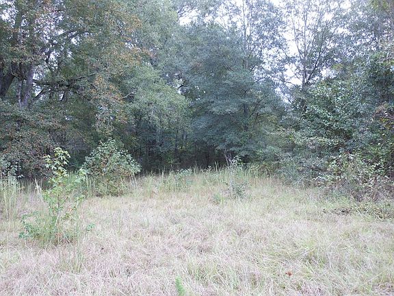 4th image of 158 Plantation Dr