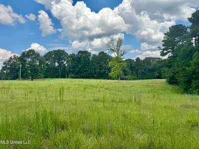 1 Old Red Star Dr NW, Wesson, MS, 39191