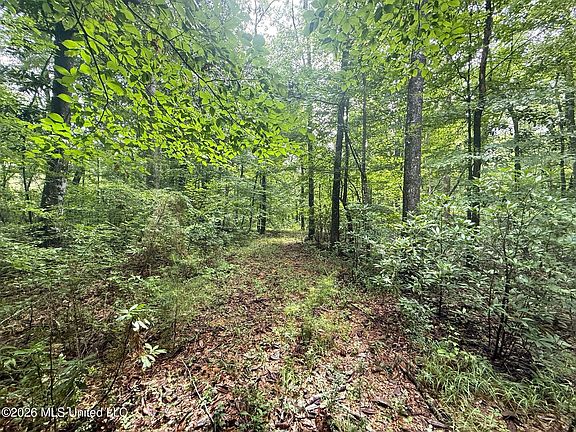 2nd image of 3042 Brandi Rd
