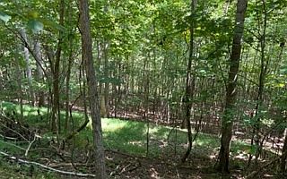 1st image of Eastview Dr Lot 87
