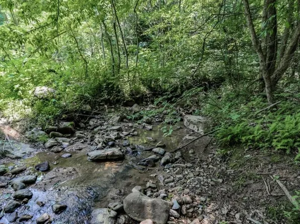 1120 Yellow Springs Rd, Cosby, TN 37722