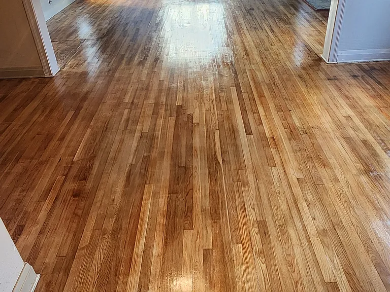 210 Myrtle Pl — Photo 6