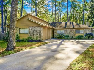 10 Rain Walk Ct, Spring, TX 77380