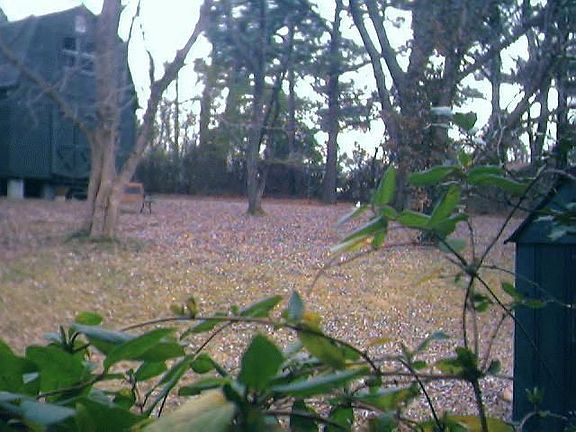 Park-like backyard with new air conditioned 2 story gardeb building and tool shed.