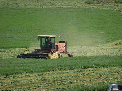 Cattle and Alfalfa Ranch in Tulelake, CA