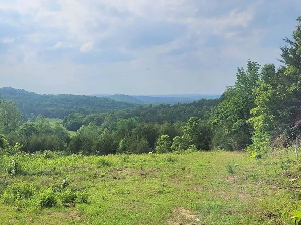 239 N Wilson Wells Rd, Poughkeepsie, AR 72569