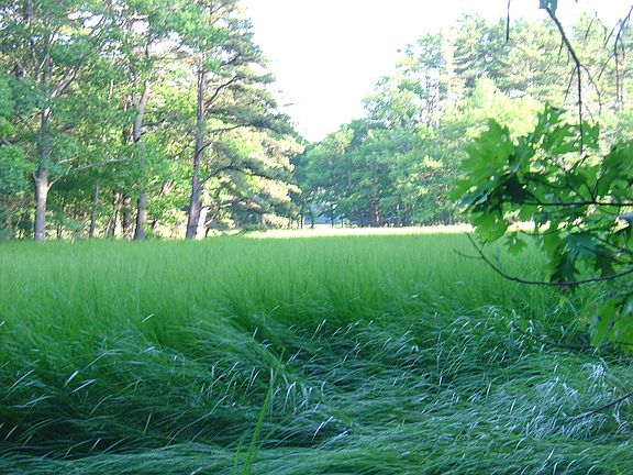 2nd image of Lot # 19 Bald Head Road #0