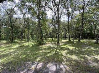 3002 SW 127th Ave, Webster, FL 33597